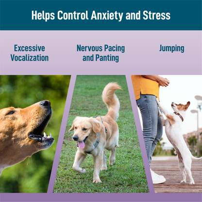Saint Barkus Calming / Stress Aid