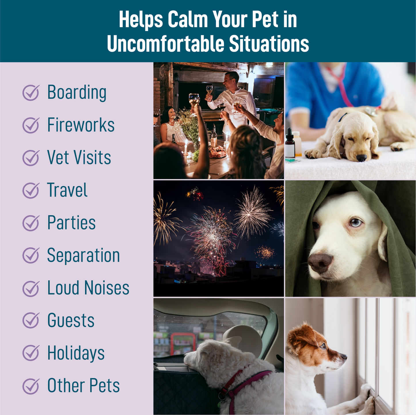 Saint Barkus Calming / Stress Aid